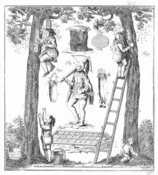 Zeidlerei – Historische Darstellung der Waldimkerei aus Adam Gottlob Schirachs Wald-Bienenzucht von 1774